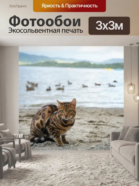 Фотообои Кошка