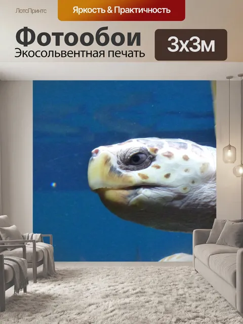 Фотообои Морская черепаха голова