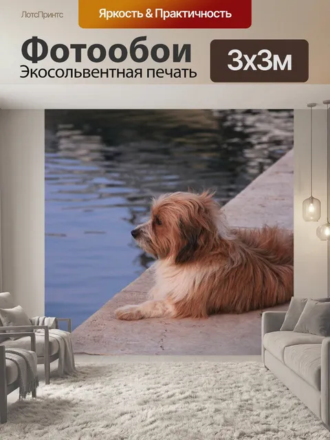 Фотообои Собака