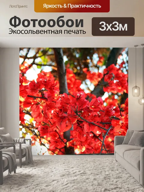 Фотообои Бугенвиль в красном