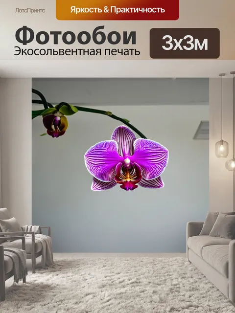 Фотообои орхидея, свисающая с потолка в интерьере с минималистическим дизайном