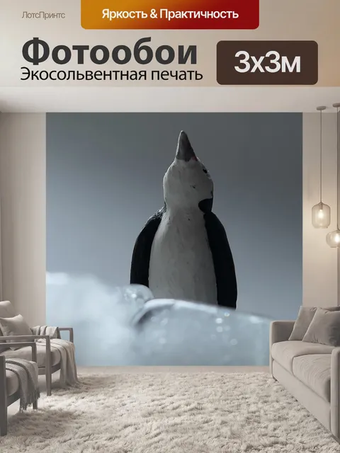 Фотообои Мороженое