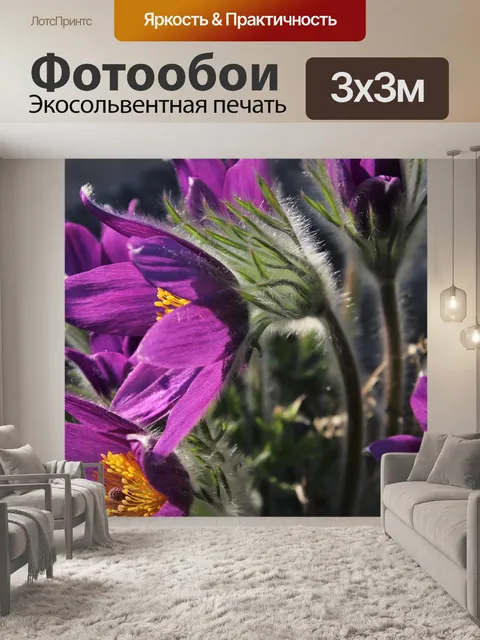 Фотообои Фиолетовый