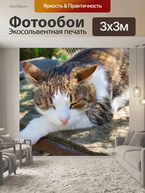 Фотообои Кот