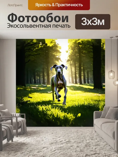 Фотообои веймаранер бежит по зеленому лугу