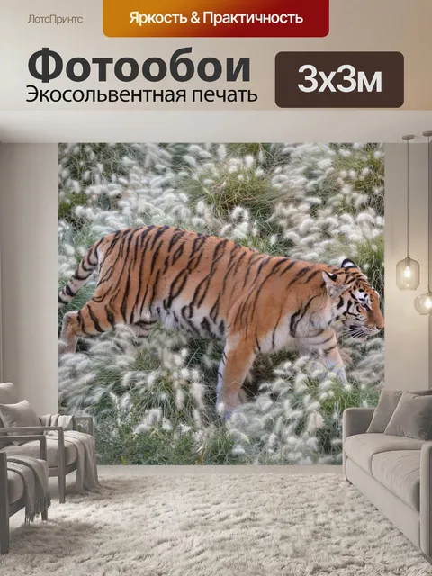 Фотообои Тигр