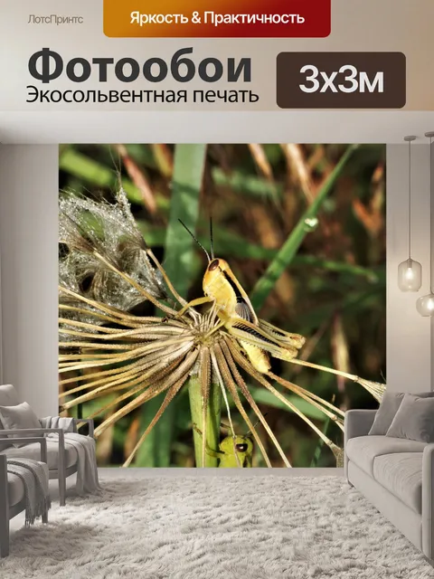 Фотообои Желтый кузнечик крупным планом