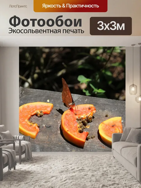 Фотообои Ферма бабочек Коста-Рики