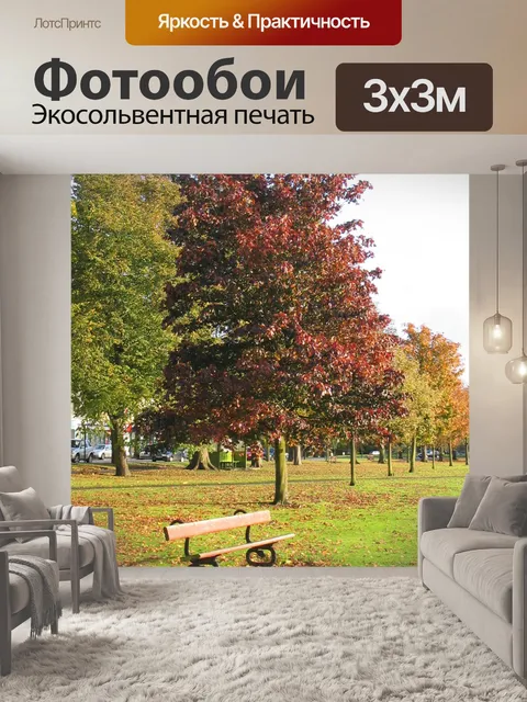 Фотообои Дерево и скамейка