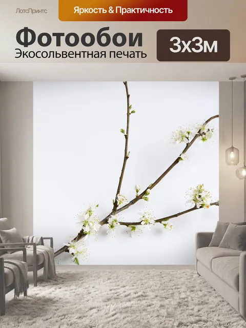 Фотообои Ветвь