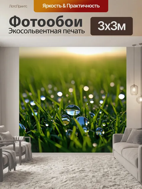 Фотообои поле, где капли росы сверкают на утренней траве, как драгоценные камни