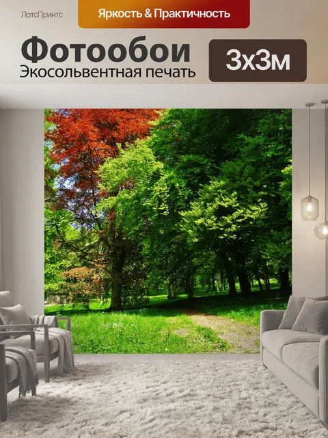 Фотообои Опушки леса