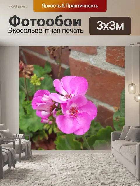 Фотообои Довольно розовый цветок