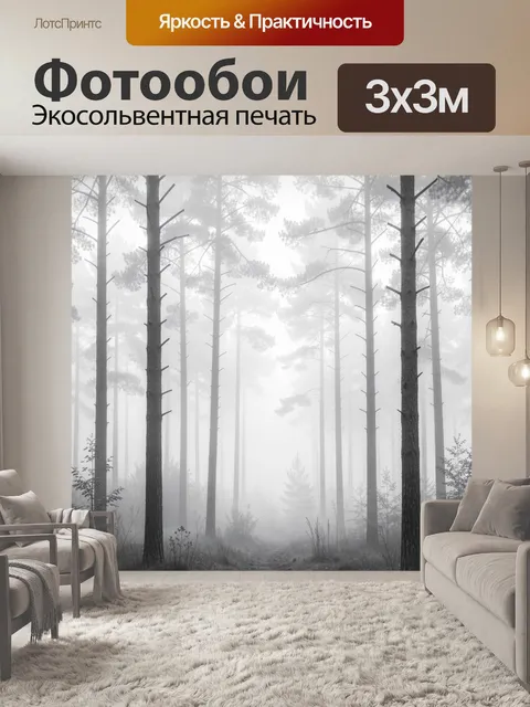 Фотообои Туманный сосновый лес