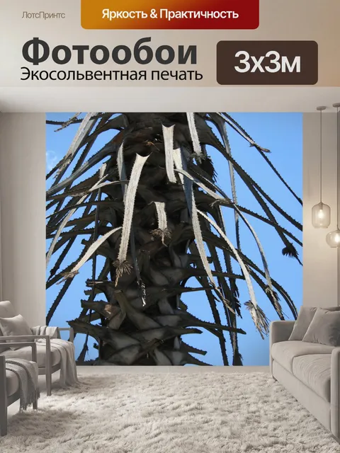 Фотообои пальма ствола