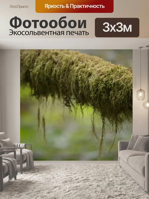 Фотообои Лес