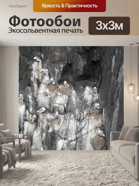 Фотообои Чайки