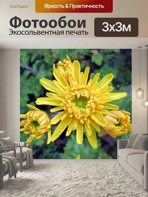 Фотообои Осень