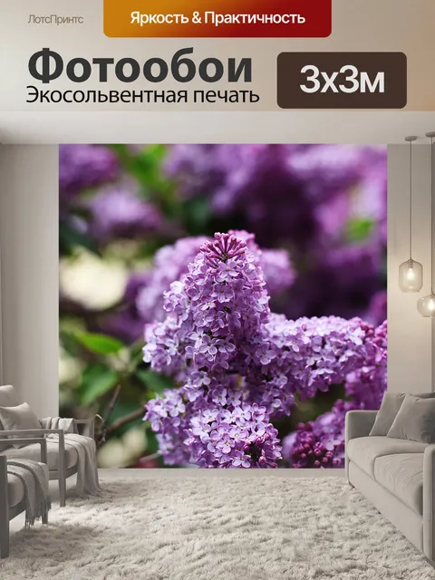 Фотообои Сирень