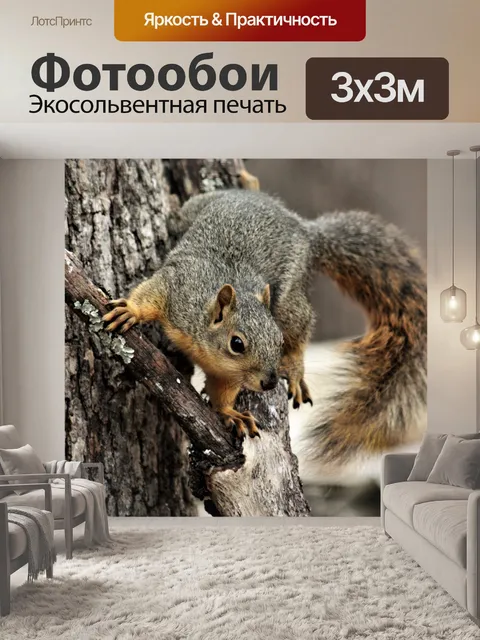 Фотообои Fox Squirrel на ветке дерева 2
