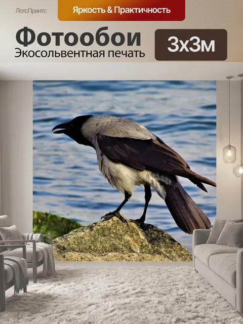 Фотообои Птицы