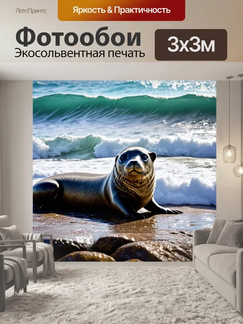 Фотообои невыносимо холодный утренний момент, когда тюлень лежит на скале у океана, волны нежно обнимают его