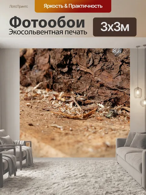 Фотообои Опилки