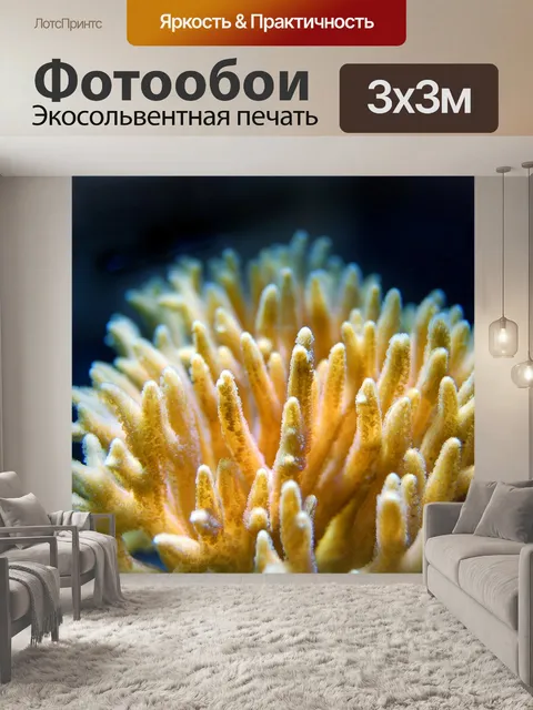 Фотообои Коралл