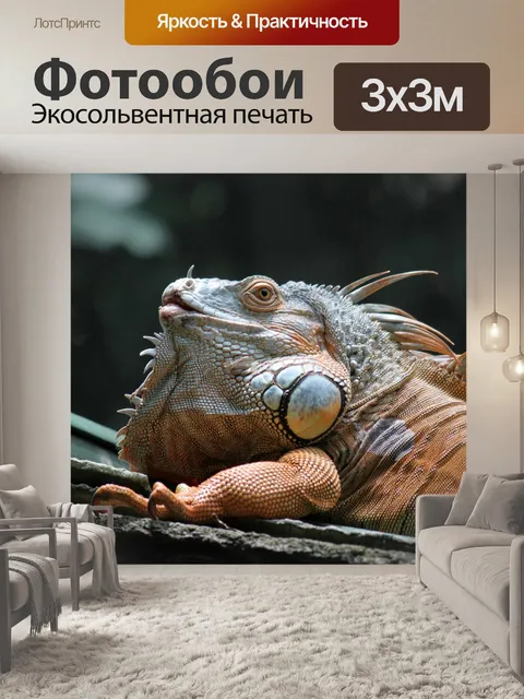 Фотообои Дракон Ящерица лежала под солнцем