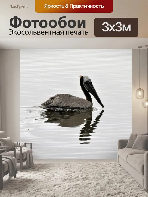 Фотообои Одинокий пеликан, плавающий на озере