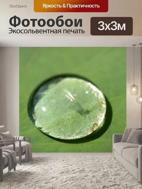Фотообои Цветок лотоса