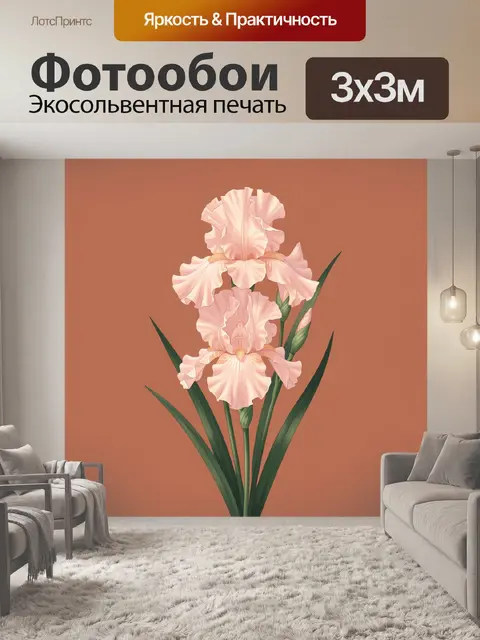 Фотообои Пудровые ирисы на терракотовом фоне