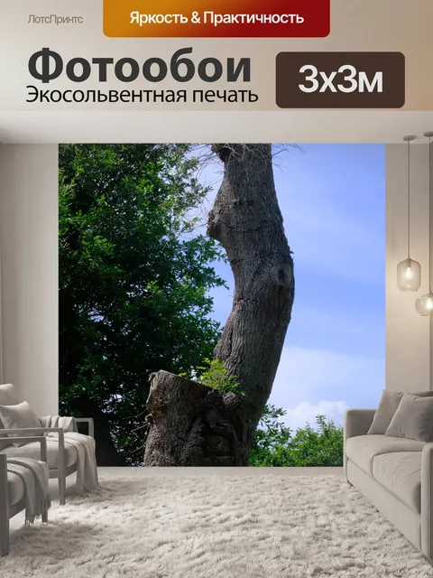 Фотообои Спиленный ствол дерева