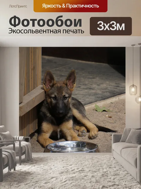 Фотообои Щенок