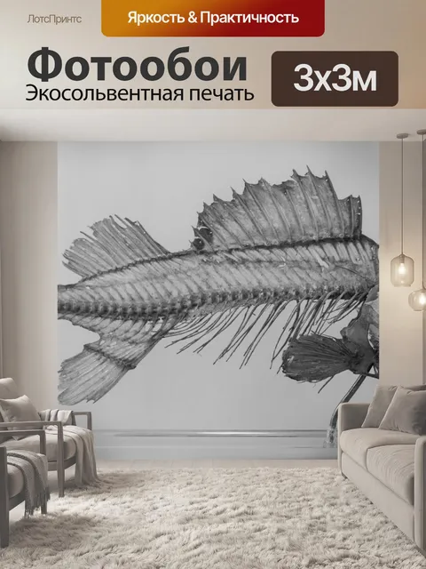 Фотообои скелет рыбы