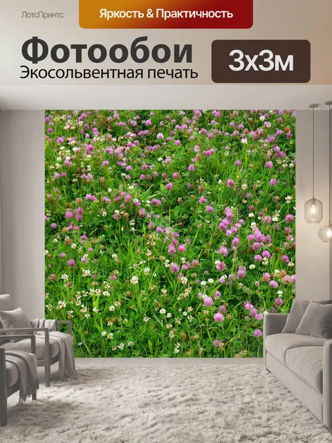 Фотообои Клевер