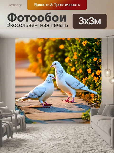 Фотообои Два белых голубя, один из которых с маленьким хохолком, стоят на каменной дорожке