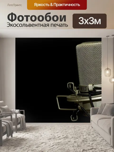 Фотообои Микрофон