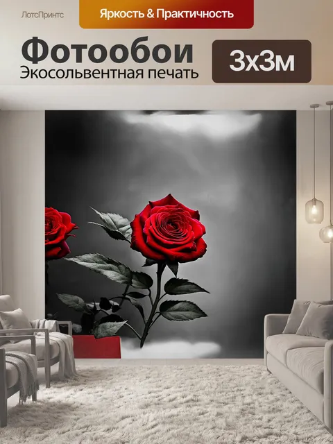 Фотообои черно-белая фотография роз с красными деталями