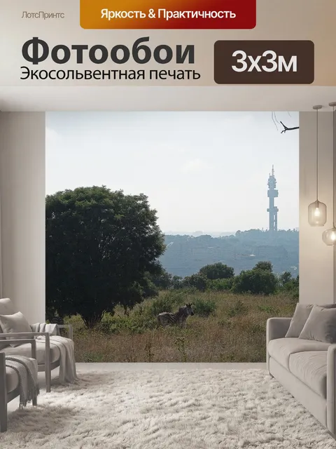 Фотообои зебра бурчелла на холме