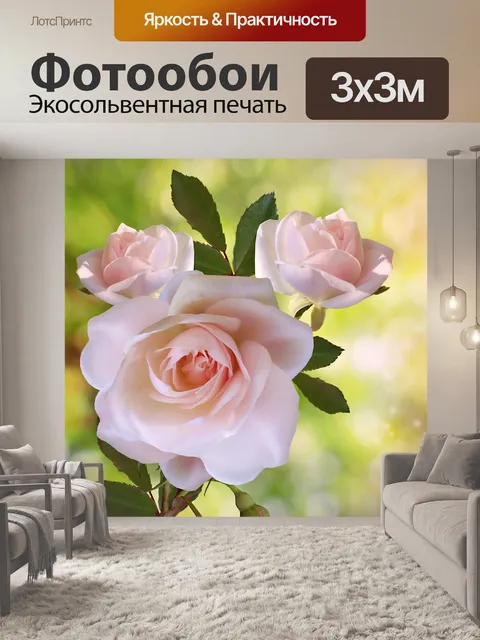 Фотообои Фотография цветка розы