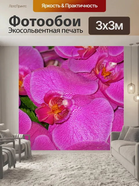 Фотообои Орхидеи
