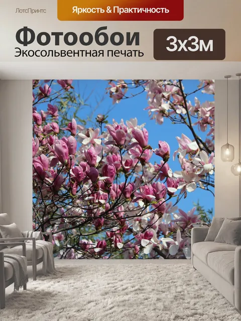 Фотообои Голубое небо