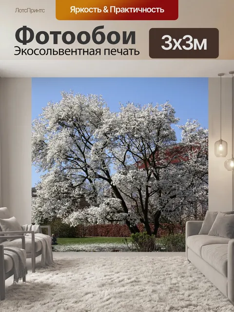 Фотообои Тюльпан