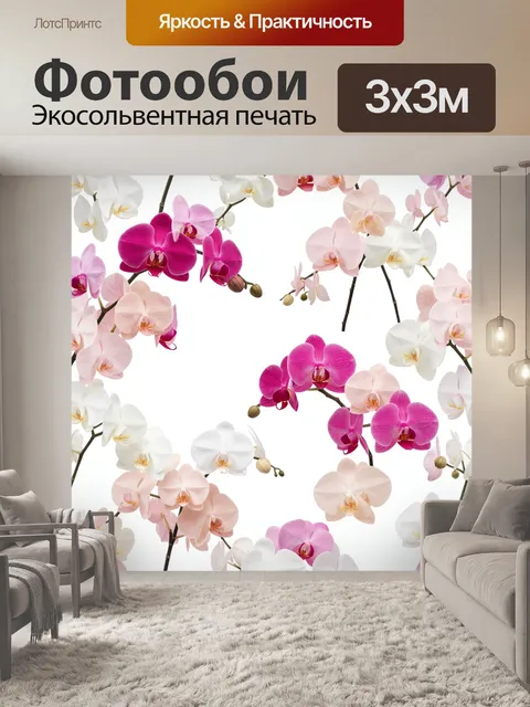 Фотообои Орхидеи на белом фоне