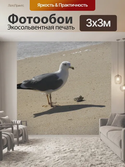 Фотообои Чайка