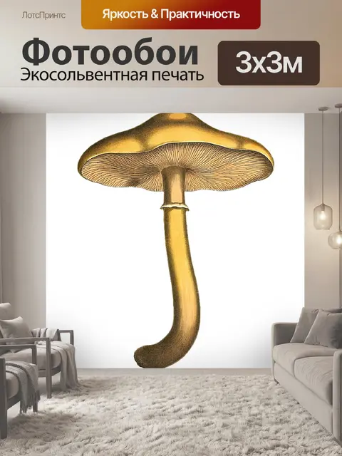 Фотообои Винтаж Клипарт Гриб Чемпион