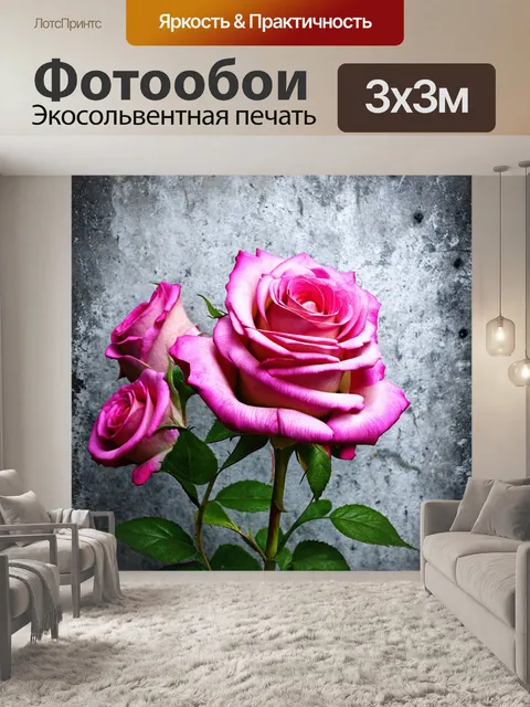 Фотообои розы в стиле гранж: прозрачные розы на фоне холодного бетона, подчеркивающие свежесть и зенитный стиль