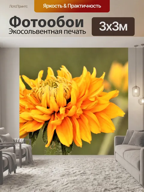 Фотообои Черноглазый Сьюзен и Боке