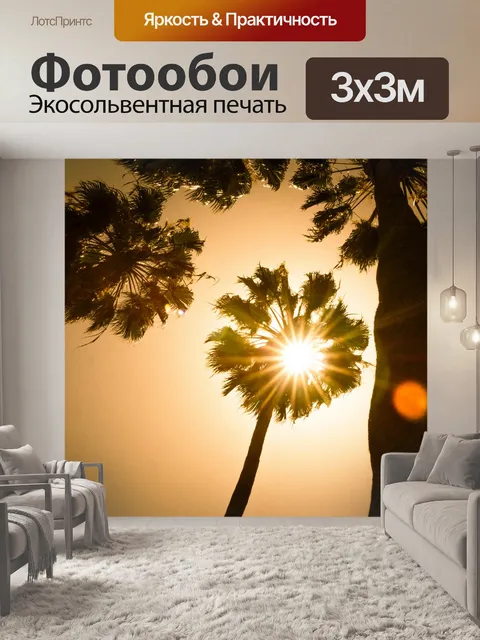 Фотообои Солнечный свет сквозь деревья Пальмы